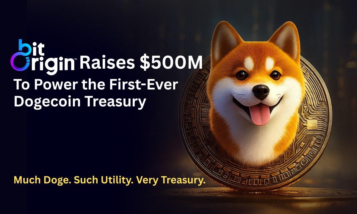 Bit Origin to launch a Dogecoin treasury