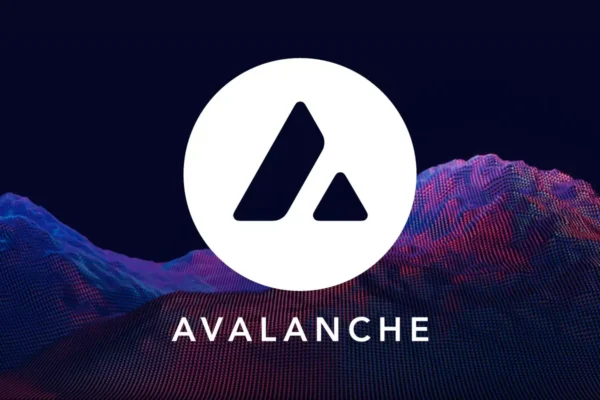 Avalanche Foundation plans $1 billion treasury expansion in the US