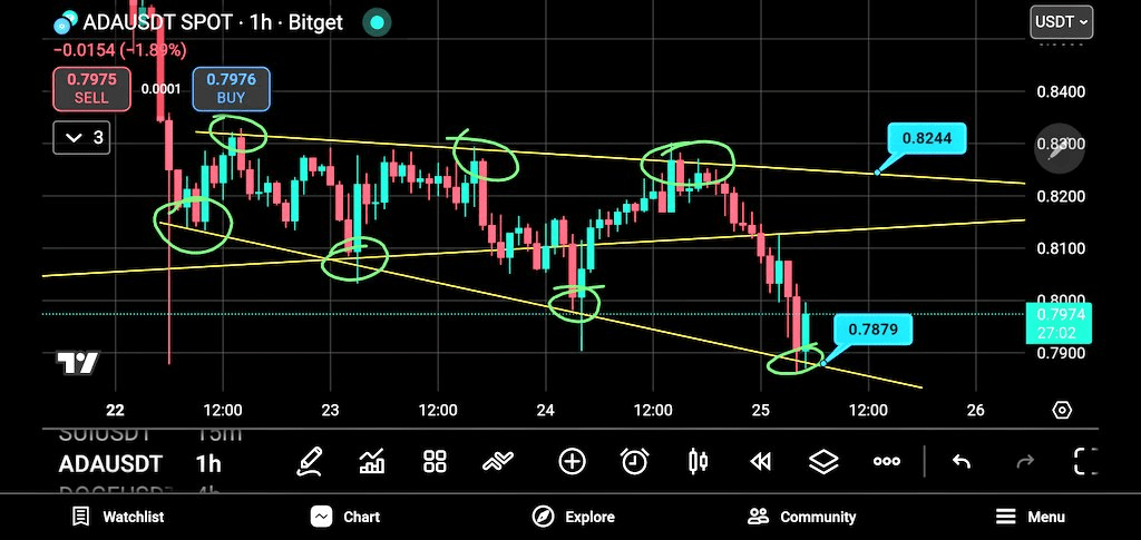 Cardano struggles at $0.78 support as bearish pressure mounts