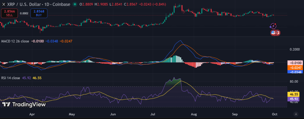 XRP price gains momentum as whales accumulate $345 million