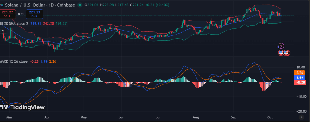 Solana tests crucial $217 support — Rebound or breakdown ahead?
