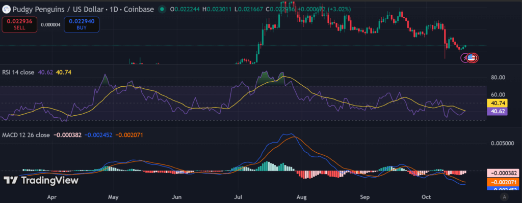 Key levels to watch as bears take control of PENGU memecoin