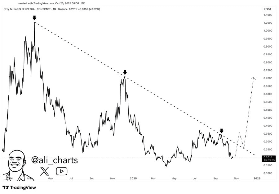 SEI breakout looms as price targets a sharp rally toward $0.70