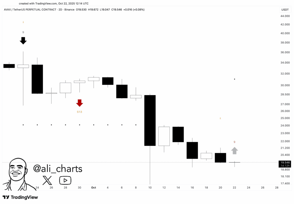 Avalance (AVAX) faces bearish pressure — Can bulls defend $19 support?