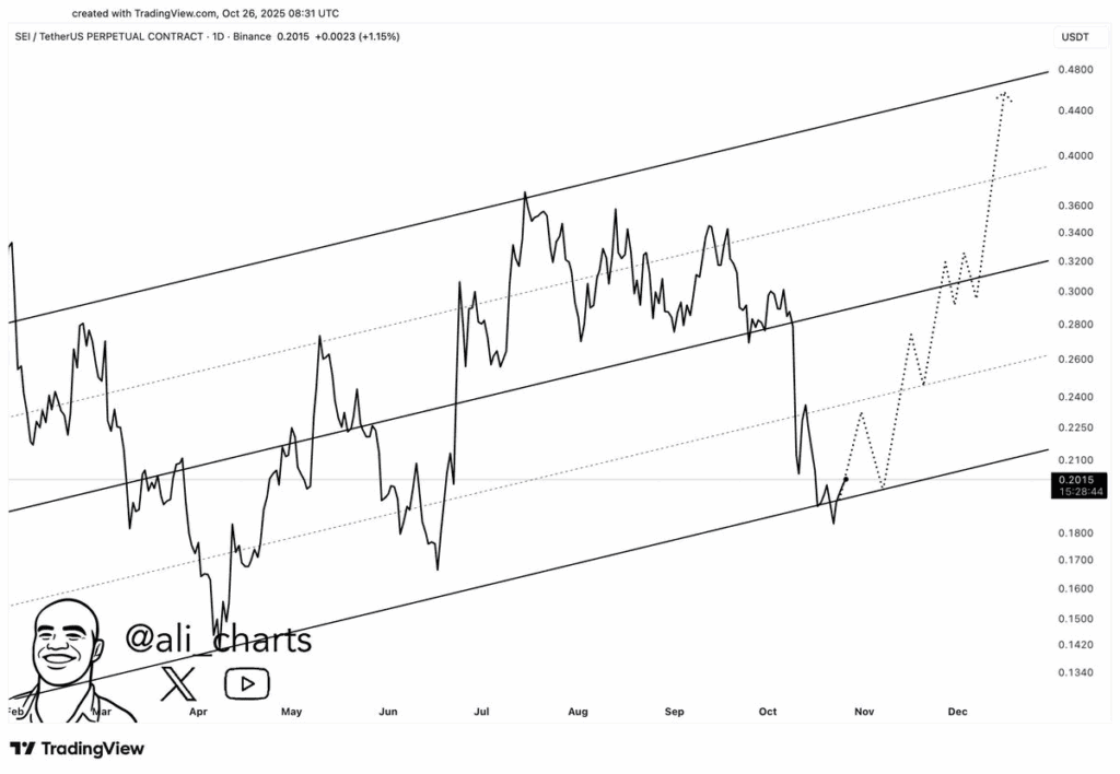 SEI eyes bullish reversal, targeting $0.44 resistance