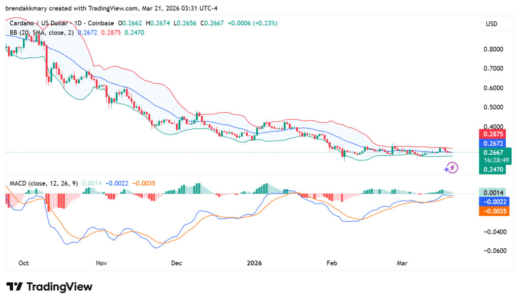 Cardano eyes $0.37 as recovery momentum builds
