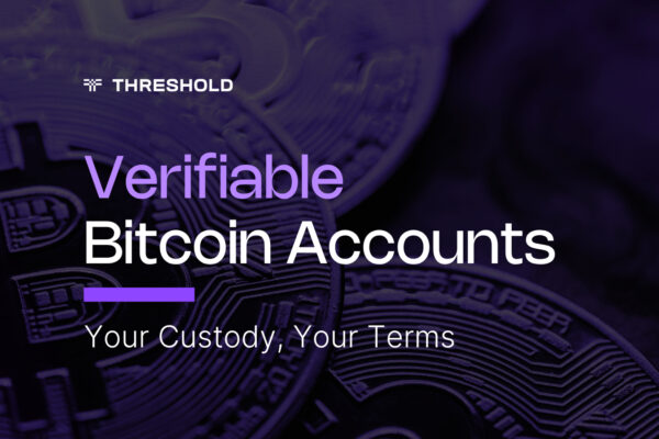 Verifiable Bitcoin Accounts for Institutional Bitcoin