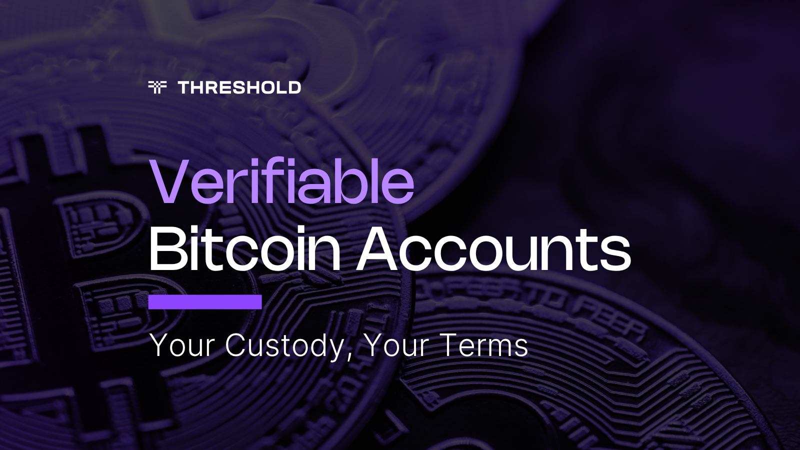 Verifiable Bitcoin Accounts for Institutional Bitcoin