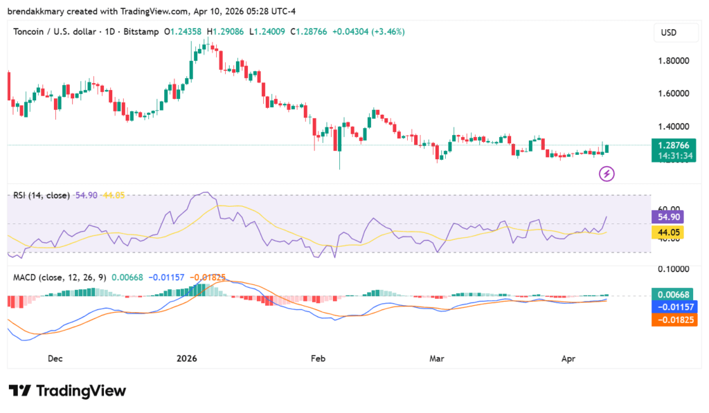Toncoin jumps 5% as Catchain 2.0 upgrade boosts TON network speed and performance