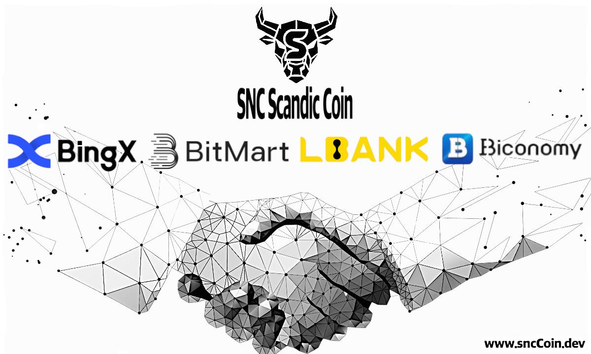 SNC Scandic Coin