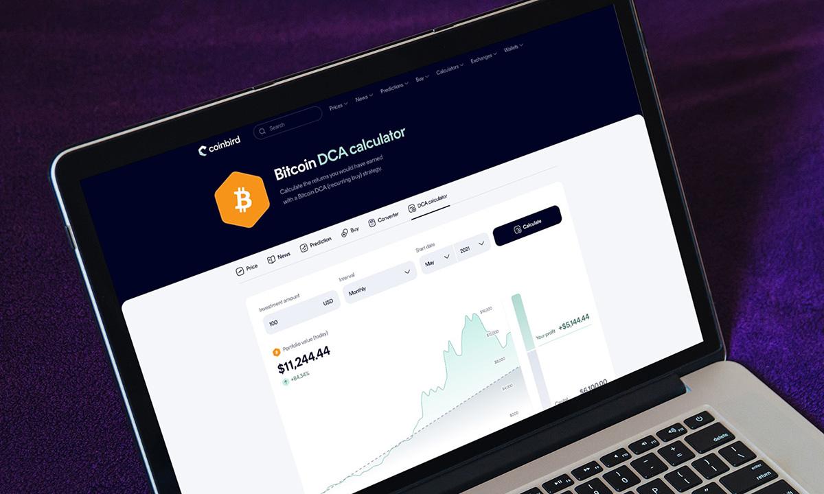 Coinbird Analysis