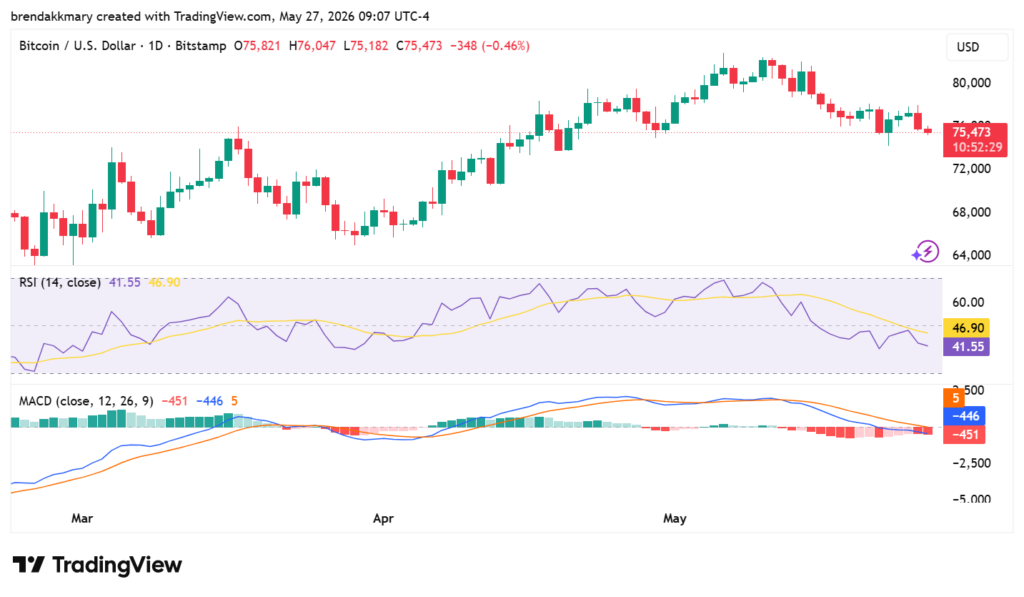 Bitcoin holds key support as analyst eyes $80K breakout amid short squeeze 